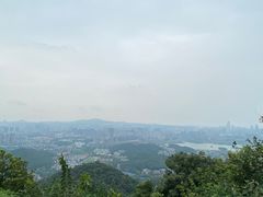 -茶颜悦色(岳麓山顶店)