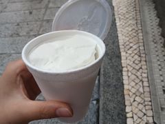 椰子雪糕-洪馨椰子