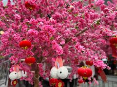-莲花山公园