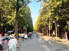 -日照海滨国家森林公园