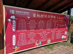 -田园东方蜜桃村的田野营地