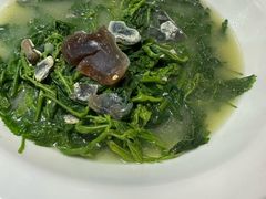 上汤浸桑叶-红日饭店(裕隆三路店)