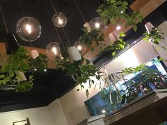 -柴务处·柴犬主题狗咖