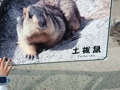 -哈尔滨北方森林动物园