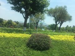 -华侨大学(厦门校区)