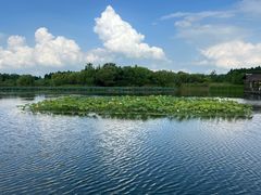 -溱湖国家湿地公园