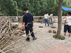 -西部长青自然儿童乐园