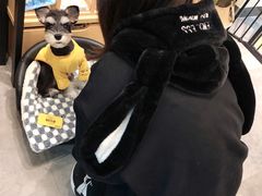 -小尾巴宠物店(万科·金域华庭店)