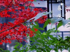 -一江春水·杭帮臻宴(三台山店)