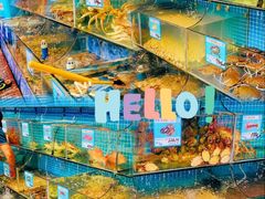-范饭椰林川湘味海鲜·椰子鸡(三亚湾椰梦长廊店)