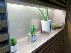 -DELAVAY黛乐薇抗衰中心