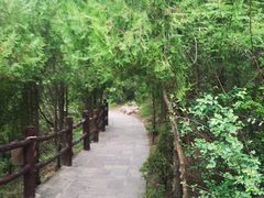 -云台山风景名胜区