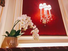 -Cafe Sacher(WIEN)