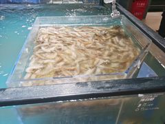 -盒马鲜生(双清路店)