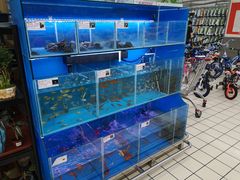 -大润发(东关世茂店)