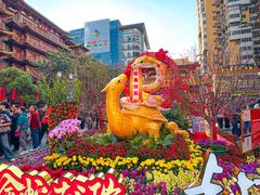 -越秀西湖花市(广州城市广场花卉店)