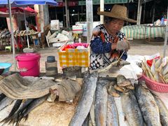 -霞涌市场海鲜摆卖区