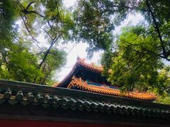 -北京国子监胡同