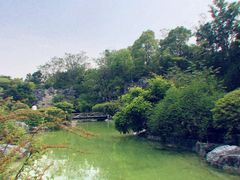 -吴淞炮台湾湿地森林公园烧烤区