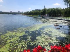 -长春市南湖公园