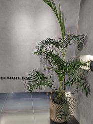 -老肖男士理发店