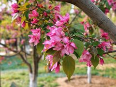 -元大都城垣遗址公园