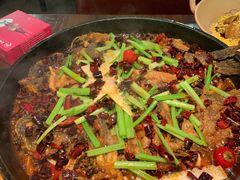 -老板恋上鱼(恒隆广场店)