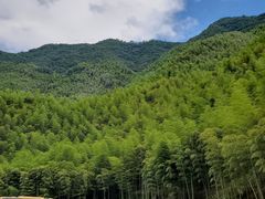 -将军关探险漂流