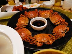 阳澄湖大闸蟹-大鸭梨烤鸭(左家庄店)