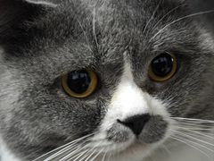 -不作·手工银饰DIY(西红门店)