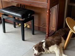 -时间抽屉(裕华万达广场店)