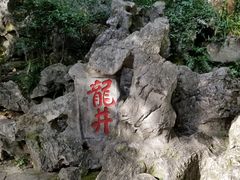 -龙井村