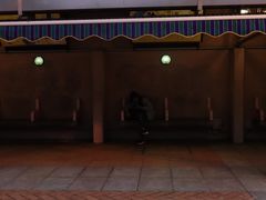 -九龙公园