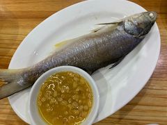 鱼饭-长平肥姐白粥·海鲜打冷