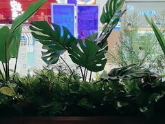 -啫火啫啫煲·顺德干蒸(壹海城店)