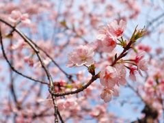 -白塘生态植物园