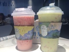 -野萃山·潮汕厚果汁(十亩地店)