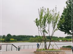 -东郊湿地公园
