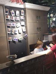 点击看大图 -金棕榈