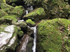 -藏龙百瀑风景区