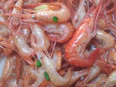 -全乐鱼馆·淳牌有机鱼直营店