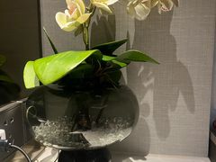 -浅深(世茂滨江精品店)