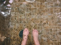 -中家鑫园温泉酒店鑫悦汤泉