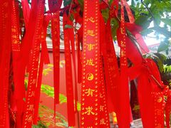 -长春观