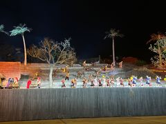 -三亚红色娘子军演艺公园景区