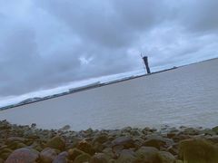 -吴淞炮台湾湿地森林公园烧烤区