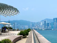 -星光大道