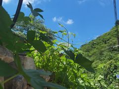 -水峪民俗村