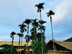 -海南槟榔谷黎苗文化旅游区