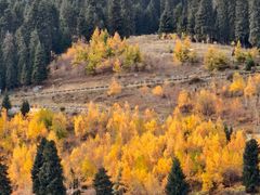 -天山天池风景区-西王母祖庙